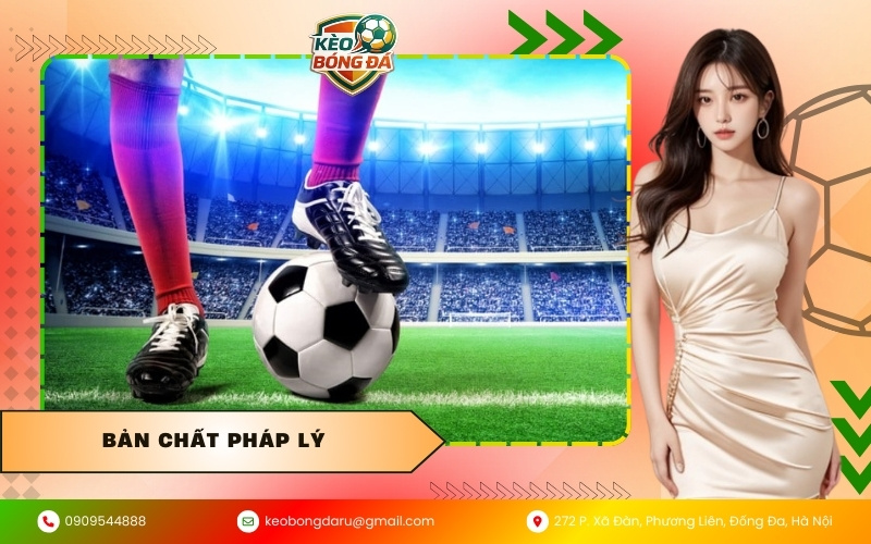 Bản chất pháp lý