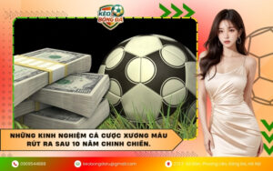 Những kinh nghiệm cá cược xương máu rút ra sau 10 năm chinh chiến.