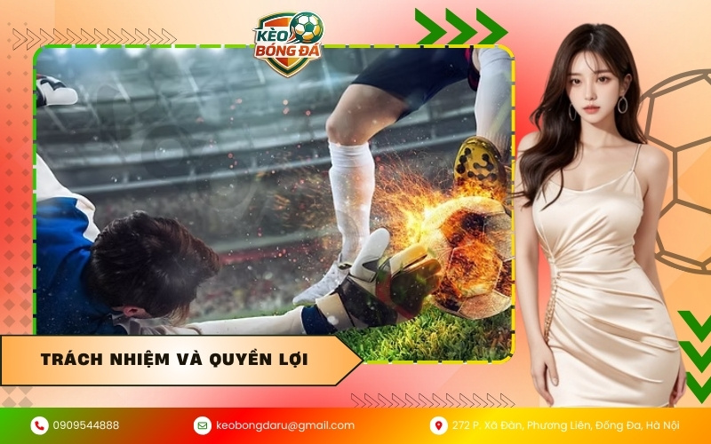 Trách nhiệm và quyền lợi